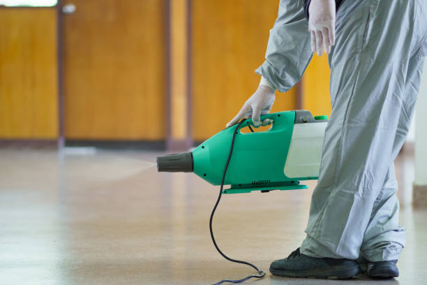 istock Disinfectant sprayers and germs that adhere on objects on the surface. prevent infection Covid 19 viruses or coronavirus And various pathogens. concept healthcare system ,stay safe and hand sanitizer. 1215251268