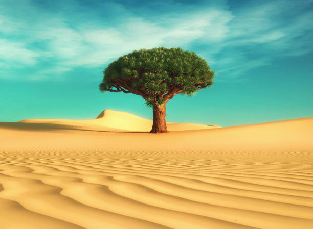 Arid landscape in the Sinai Desert near Sharm Al Sheikh.
