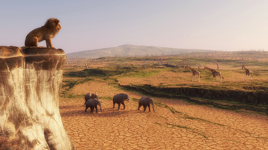 Lion standing on top of a rock above the safari . This is a 3d render illustration .
