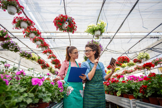 istock Two woman with notepad and tablet work in nursery garden with flowers 1215273396