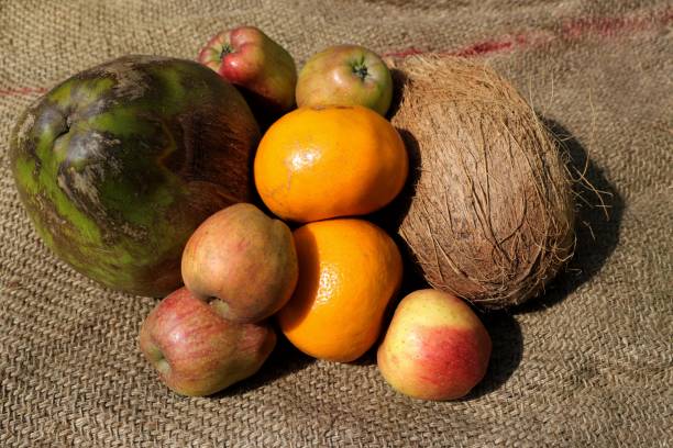 istock Fresh Apples, Mandarin Oranges and Coconuts on Burlap Background with Selective Focus, Healthy Eating Concepts Image 1215274262