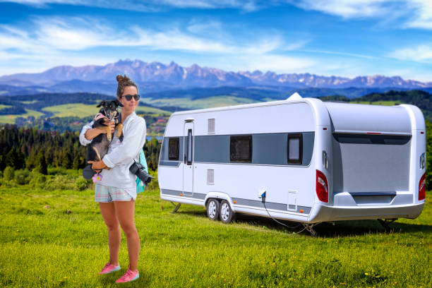 istock Holidays with dog in Tatra Mountains 1215277832