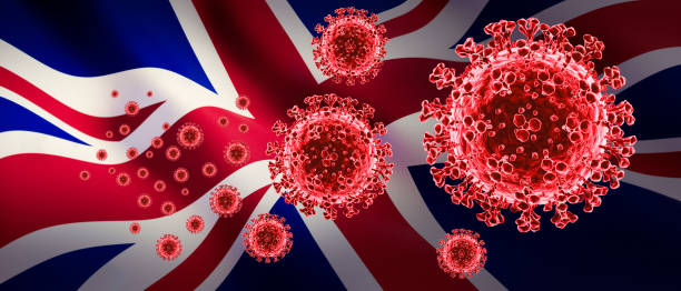 istock COVID-19 Virus 3d illustration 1215285551