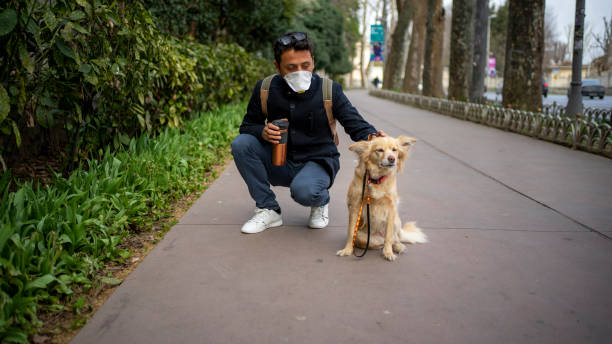 istock Taking the dog for a walk in the city 1215285652