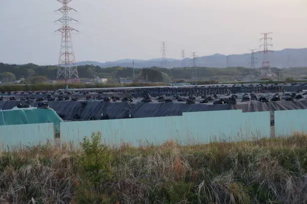 This is the situation along the coast, especially in Hamadori, Fukushima Prefecture in 2017.