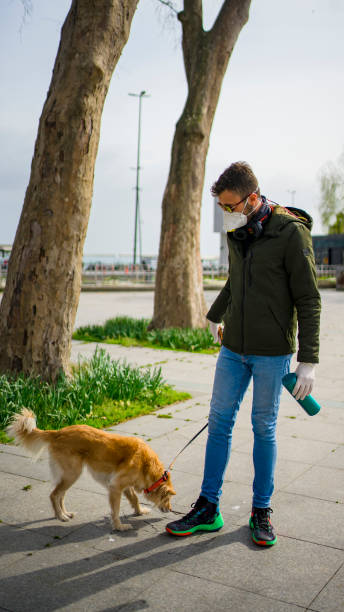 istock Taking the dog for a walk in the city 1215288049