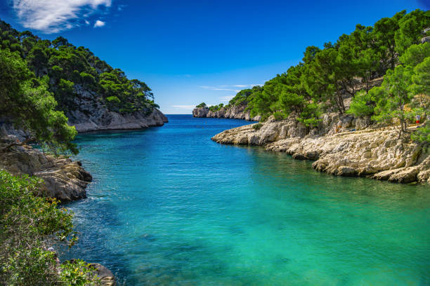 French fjords,Calanques national park, Calanque d'En Vau bay, Cassis, France, Europe French fjords,Calanques national park, Calanque d'En Vau bay, Cassis,Marseille, Southern France, Europe french riviera photos stock pictures, royalty-free photos & images
