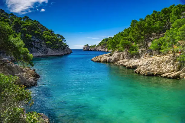 French fjords,Calanques national park, Calanque d'En Vau bay, Cassis,Marseille, Southern France, Europe
