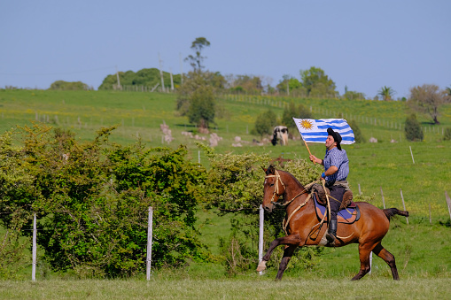 Caminos, Canelones, Uruguay, Oct 7, 2018: Gaucho riding a horse and waving the Uruguayan flag at a Criolla Festival in Uruguay, South America, also been seen in Argentina, Brazil and Chile