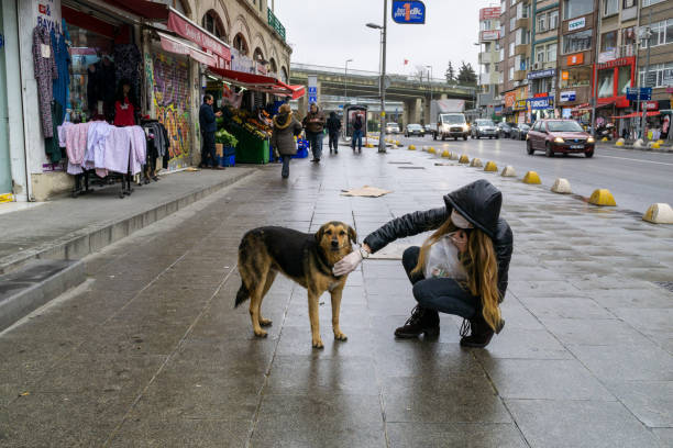 alleinstehende frau streichelt hund auf dem bürgersteig der leeren kadikoy straße. - kadikoy district stock-fotos und bilder