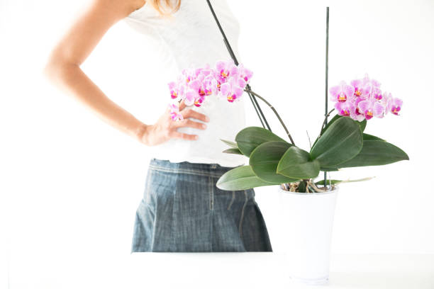 istock slim woman and a pink orchid 1215296675