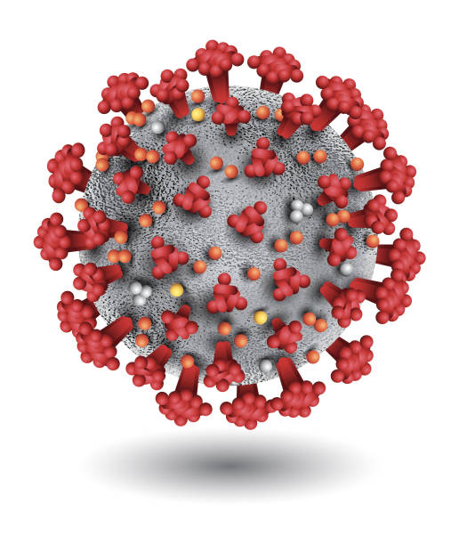 coronavirus-infektion - virus stock-grafiken, -clipart, -cartoons und -symbole