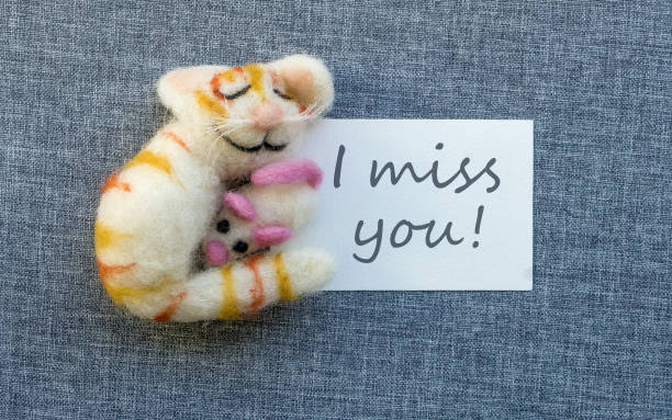 I Miss You Stock Photo - Download Image Now - Miss You - Short Phrase,  Cute, Domestic Cat - iStock