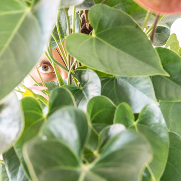 girl hiding behind a plant stock photo