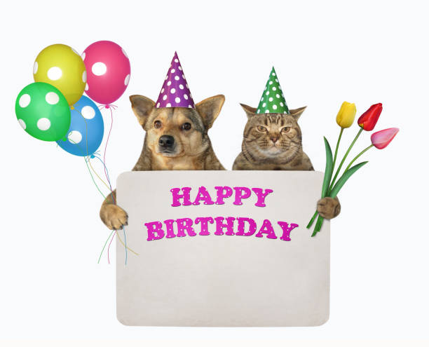 istock Dog with cat hold birthday sign 1215298336