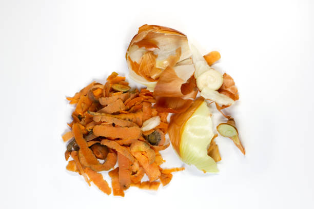 Food waste carrot, onion on a white background. Isolate. Top view. Flat lay. Waste for recycling. Responsible disposal of household food wastage in an environmentally friendly way by recycling. Food waste carrot, onion on a white background. Isolate. Top view. Flat lay. Waste for recycling. Responsible disposal of household food wastage in an environmentally friendly way by recycling. peeling food stock pictures, royalty-free photos & images