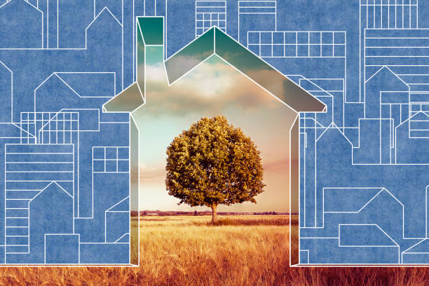 istock New skyline city against a rural scene with a lone tree - concept image 1215303318