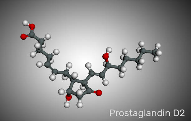 Prostaglandin D2 , PGD2 , prostaglandin, C20H32O5 molecule. Molecular model Prostaglandin D2 , PGD2 , prostaglandin, C20H32O5 molecule. Molecular model. 3D rendering CJC 1295 Ipamorelin Peptide stock illustrations