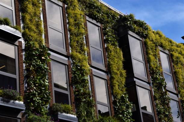 istock Plant-covered corporate building 1215304213