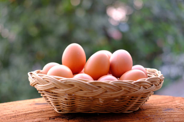 istock Egg in basket on wood table background 1215305935