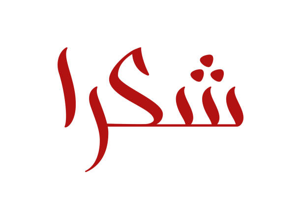 illustrazioni stock, clip art, cartoni animati e icone di tendenza di calligrafia pennello shukran - arabic script