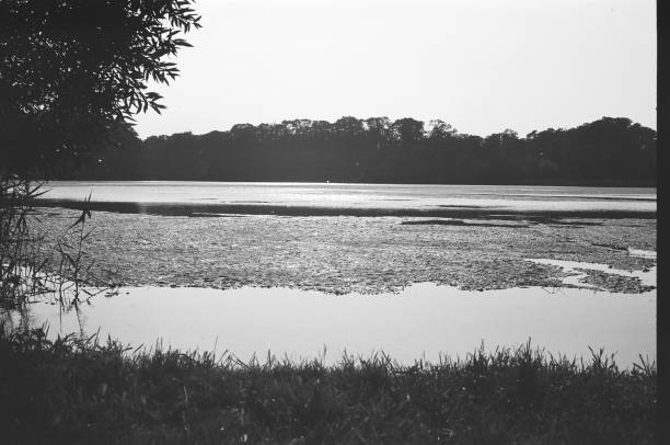 istock infinite life and water 1215307487