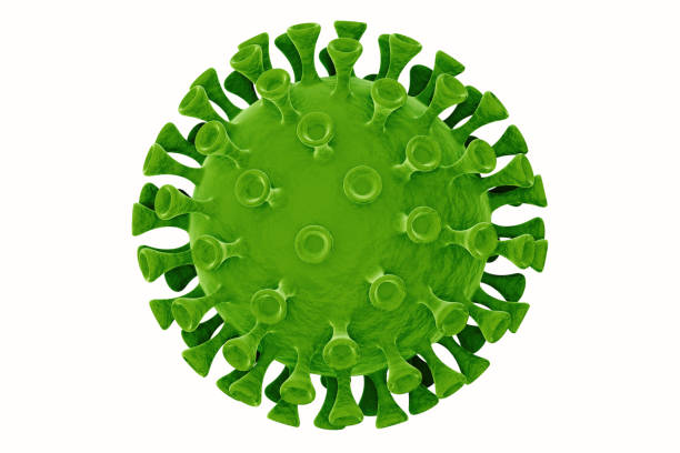 grünes coronavirus isoliert auf weiß - spore stock-fotos und bilder