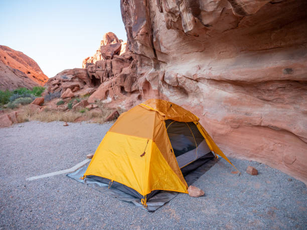 istock Yellow tent settled in campsite 1215311702