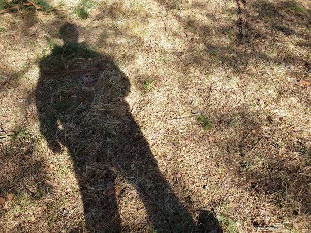 istock Shadow of a man in motion. Slow motion. 1215312447