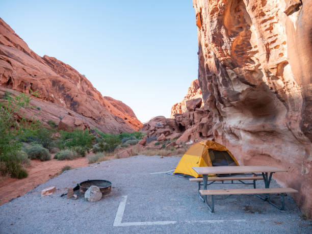 istock Yellow tent settled in campsite 1215312866