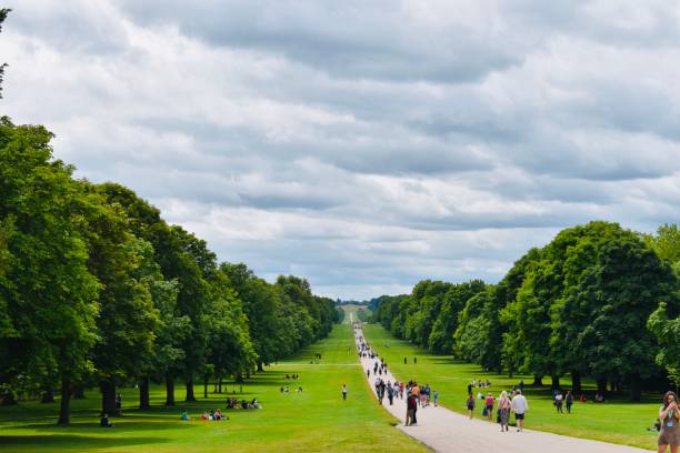 People at outdoors Windsor / UK - July 21 2019 : The Long Walk is full of people in a summer day tree crown stock pictures, royalty-free photos & images