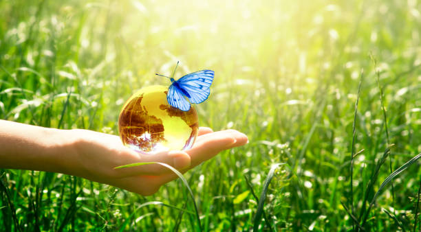 istock Card for World Earth Day. Earth globe and butterfly in hand on grass background. Saving environment and clean green planet. 1215315486