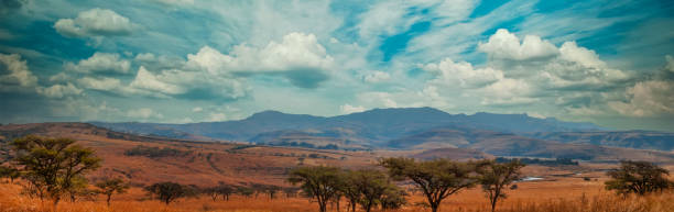 paisagem perto da baía de ballito - panoramic landscape south africa cape town - fotografias e filmes do acervo
