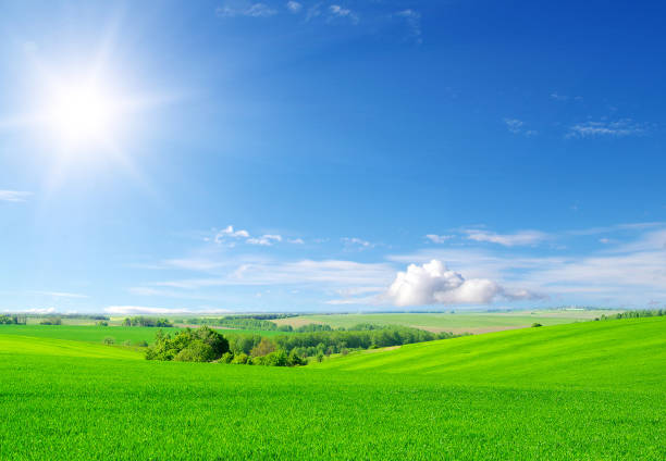 istock green field and blue sky 1215318953
