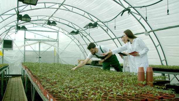 istock Farmer showing growing crops to scientists 1215318996