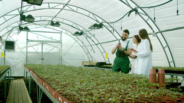 istock Farmer showing growing crops to scientists 1215321909