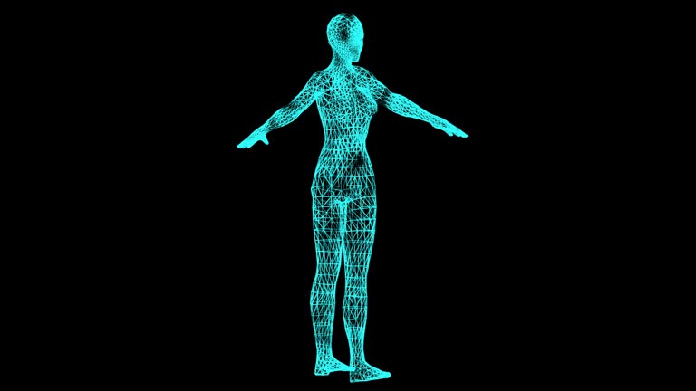 90+ Free Anatomy & Human Videos, HD & 4K Clips - Pixabay 90+ Free Anatomy & Human Videos, HD & 4K Clips - Pixabay