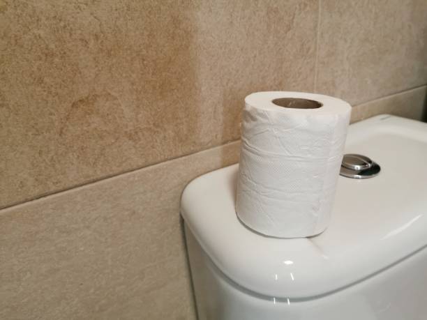 istock Toilet paper 1215323356