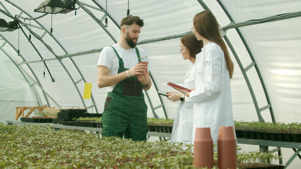 istock Farmer showing growing crops to scientists 1215324367