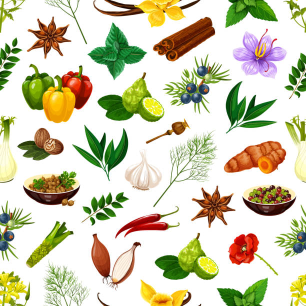 illustrations, cliparts, dessins animés et icônes de épices, herbes et assaisonnements alimentaires sans couture - anise seed fennel backgrounds