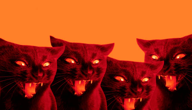 Yawning cat