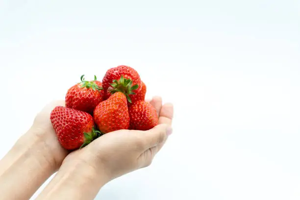 Photo of Hand with fresh strawberries on white background