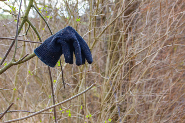 Black wool glove hanging on a branch