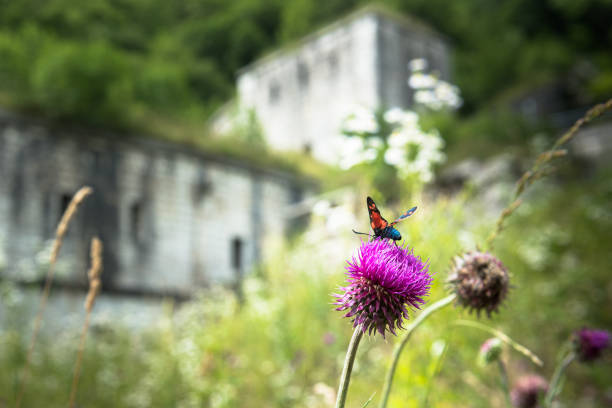 Primolano (VI) Italy - June 18, 2015:Nineteenth-century Italian barrier on the border to control the important artery between the Valsugana.She had no roles during the war and was cleared, and partially blown up, in the autumn of 1917 for the Austrungaric advance.