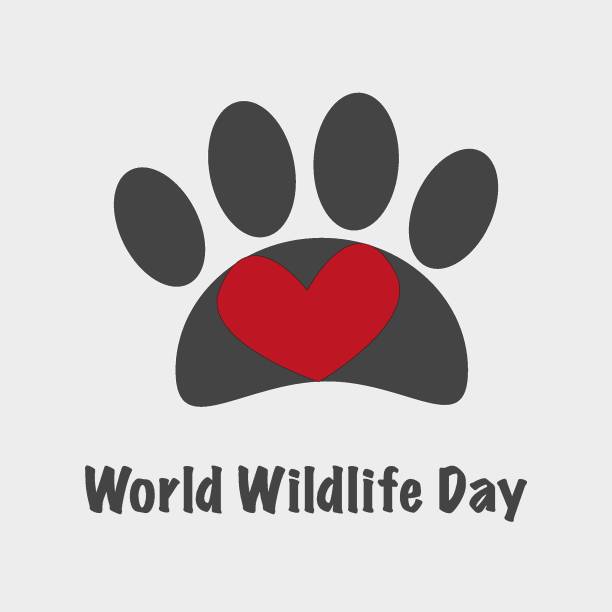 istock World wildlife day vector card banner with animal track and heart 1215333085