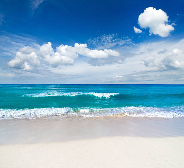 istock tropical Maldives island with white sandy beach and sea 1215333480