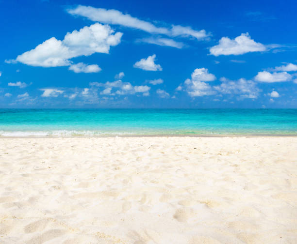 istock beautiful beach and tropical sea 1215333483