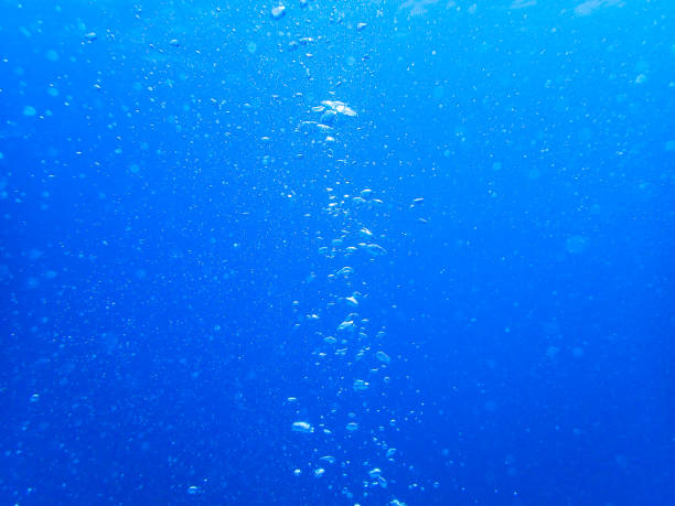 istock Air bubbles in the seawater 1215336335