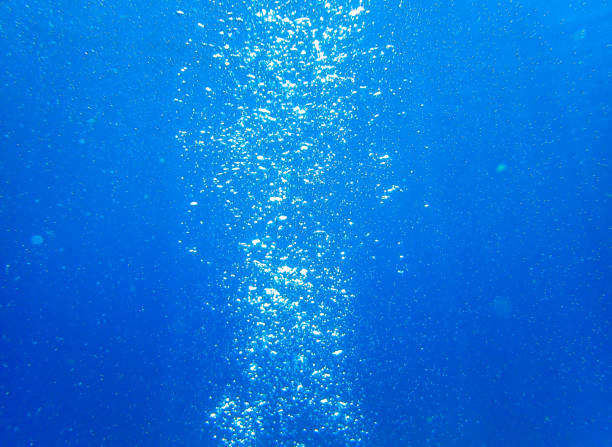 istock Air bubbles in the seawater 1215336359