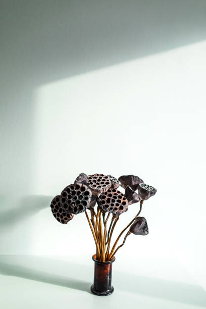 istock Flower pot with dried lily on white table background.  Minimal style in interior decoration. Contemporary concept. Beautiful sun light. Empty place for text or sign. 1215336508